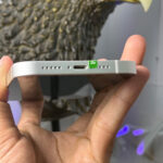 Apple iPhone 13 - Image 4