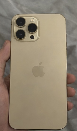 Apple iPhone — 13 pro max